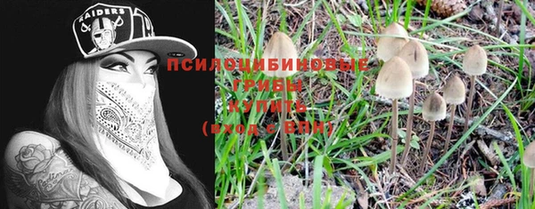 прущая мука Алзамай