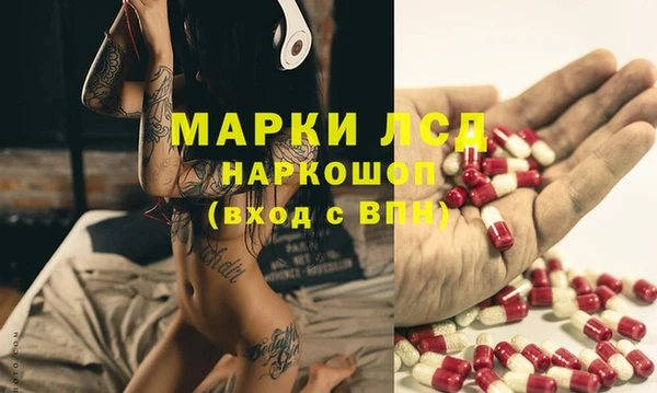 мяу мяу мука Покров